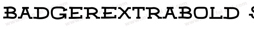 BadgerExtraBold Std Regular字体转换